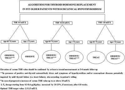 Overt and Subclinical Hypothyroidism in the Elderly: When to Treat?